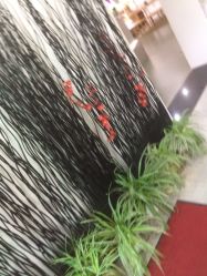 点击看大图 -翎兰瑜伽·普拉提