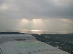 -深圳湾木棉花酒店