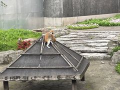 -上方山森林动物世界