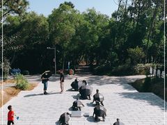 -广东惠东海龟国家级自然保护区