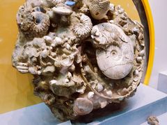 -湖南省地质博物馆