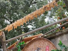 -新安江山水画廊风景区