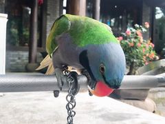 -木子山庄·安徽省老字号·中国炖锅宴