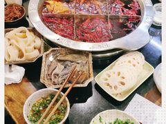 -大龙火锅(老店)