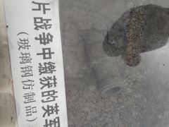 -吴淞炮台湾湿地森林公园烧烤区