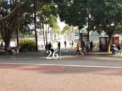 -南宁南湖公园