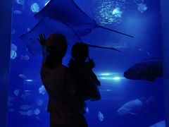 -太平洋海底世界