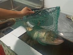 -鱼味馆(万佛湖店)