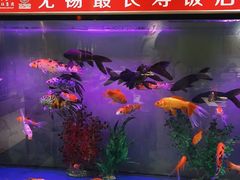 -欣旺·迎宾楼·百年无锡菜