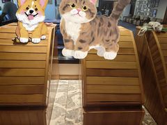 -海韵之星邮轮水会(明发商业广场店)