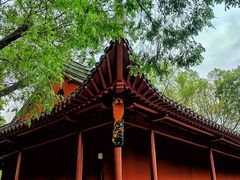 -灵谷景区