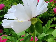 -太阳宫公园