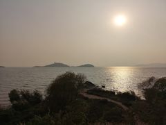 -上海市保健医疗中心(华东疗养院)