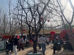 -辛庄国际文化艺术区