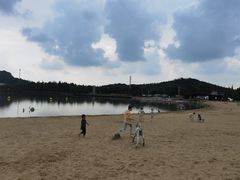 -上海月湖雕塑公园