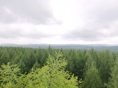 -塞罕坝国家级自然保护区