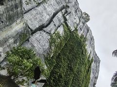 -世界之窗阿尔卑斯冰雪世界