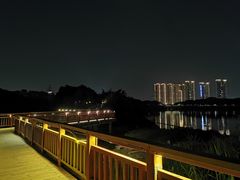 -广东花都湖国家湿地公园