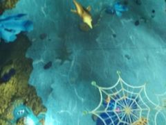 -蒙特利亲子乐园