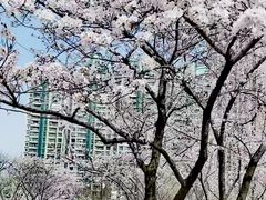 -西北湖绿化广场