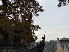 -觉知音饭团(滨江宝龙店)