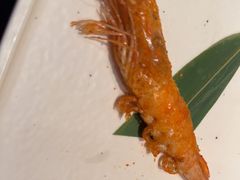 -牛YO寿喜烧和牛火锅自助(三台子万象汇店)