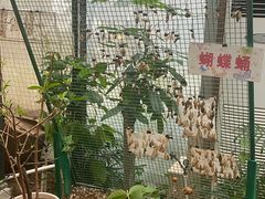-上海大自然野生昆虫馆