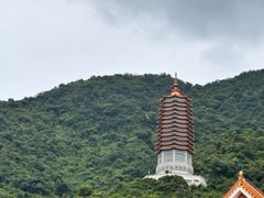 -深圳仙湖植物园