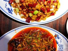 -陈麻婆豆腐总店