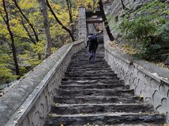 -北京上方山国家森林公园