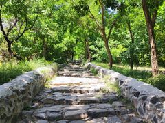 -阳台山自然风景区