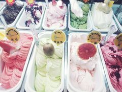 -柠檬车露(卖草地店)
