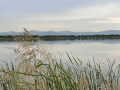 -野鸭湖国家湿地公园