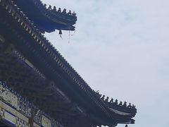 -粤晖园