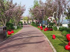 -上海浦江郊野公园-4号停车场