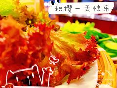 -浙江宾馆·花园餐厅·自助餐厅·茶吧