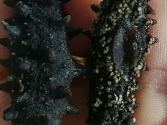 -大连双兴商品城