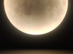 -深圳独角兽星空艺术馆