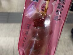 -和禄德冰糖葫芦