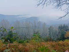 -妙峰山风景名胜区