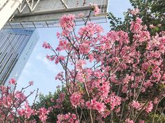 -文华公园(禅城区)