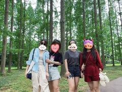 -黄海国家森林公园