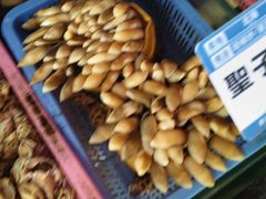 -强记海鲜·大排档(蛇口新街店)