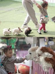 -萌宠亲子动物乐园(槐房万达店)