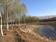 -东郊湿地公园