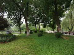-丰台花园