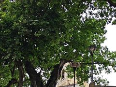 -龙环葡韵住宅式博物馆