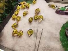 -小明家·鲜牛肉自选火锅(中街店)