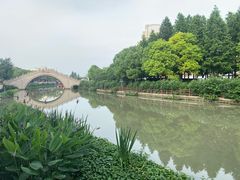 -三林塘老街