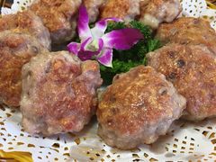-老乡村美食农庄